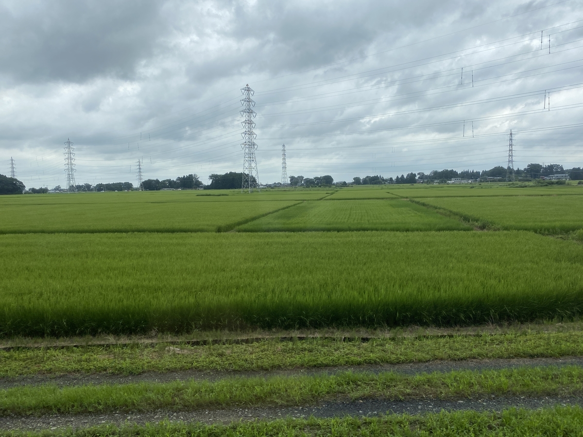 f:id:budoutorinngo:20201216193139j:plain