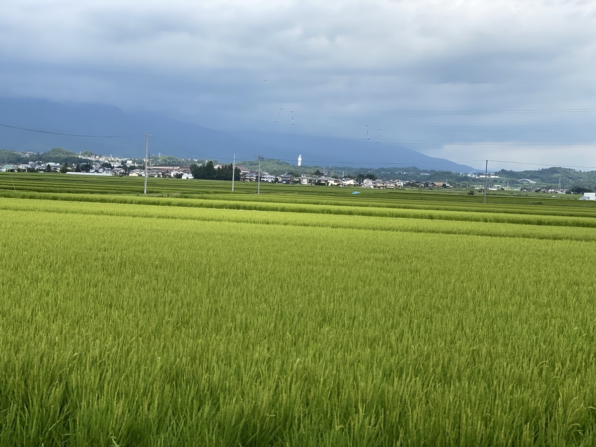 f:id:budoutorinngo:20201216221103j:plain