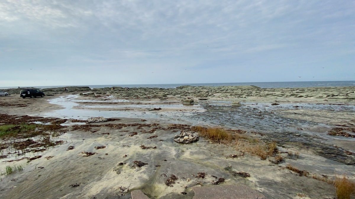 f:id:budoutorinngo:20210101233542j:plain