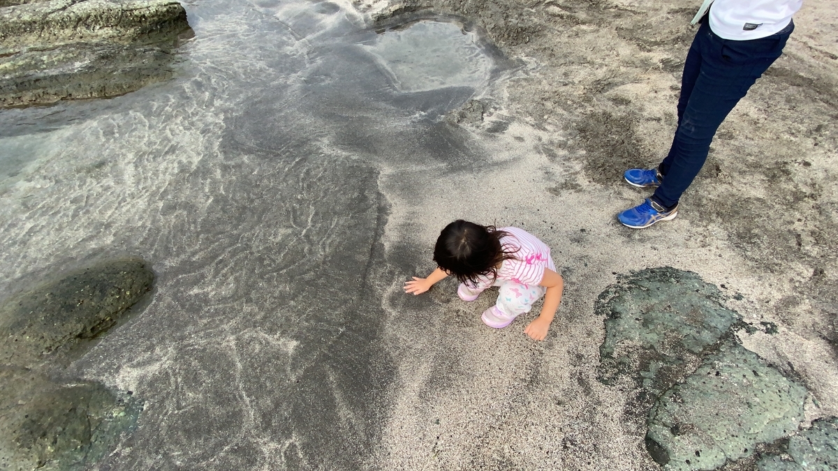 f:id:budoutorinngo:20210101233701j:plain