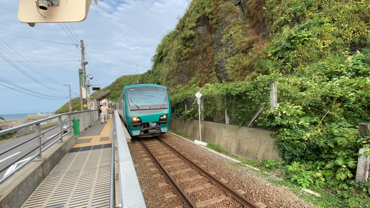 f:id:budoutorinngo:20210101234005j:plain