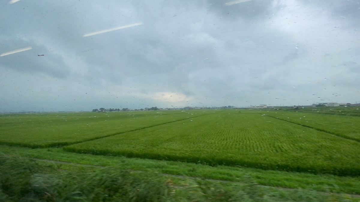 f:id:budoutorinngo:20210102184120j:plain