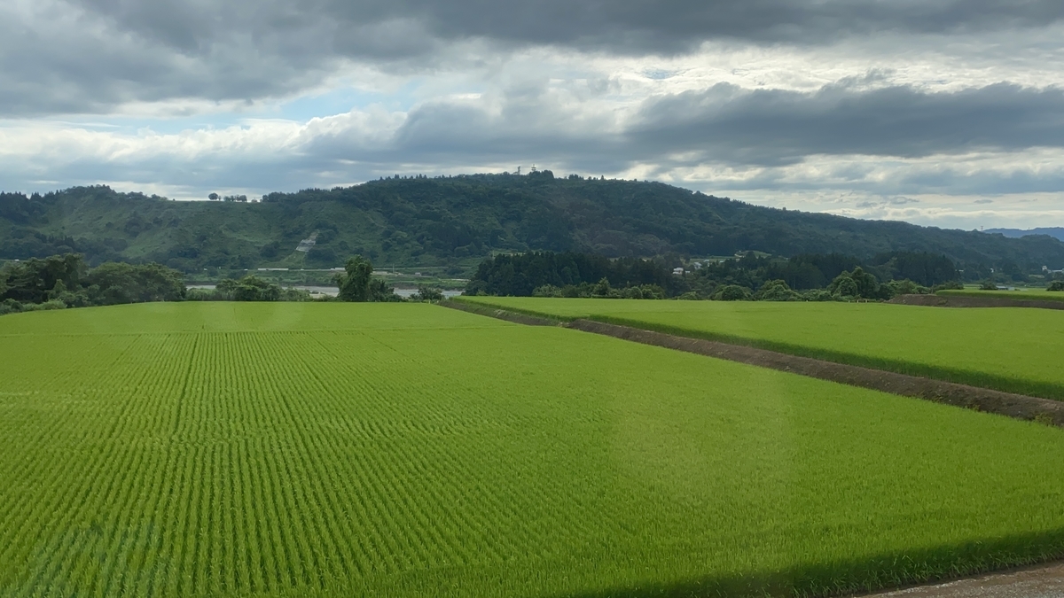 f:id:budoutorinngo:20210814231220j:plain