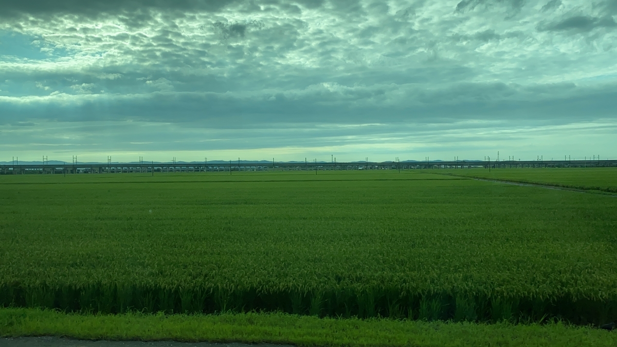 f:id:budoutorinngo:20210814233715j:plain