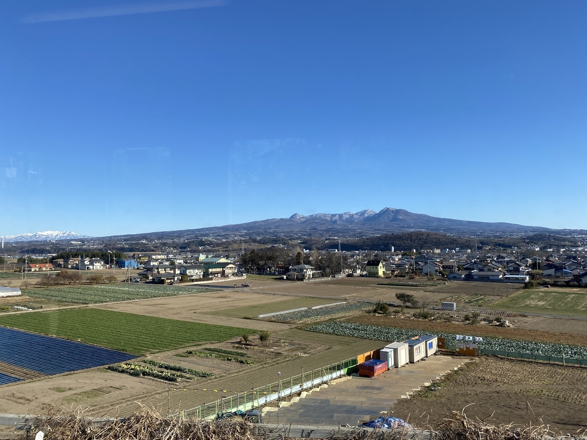 f:id:budoutorinngo:20220126231226j:plain