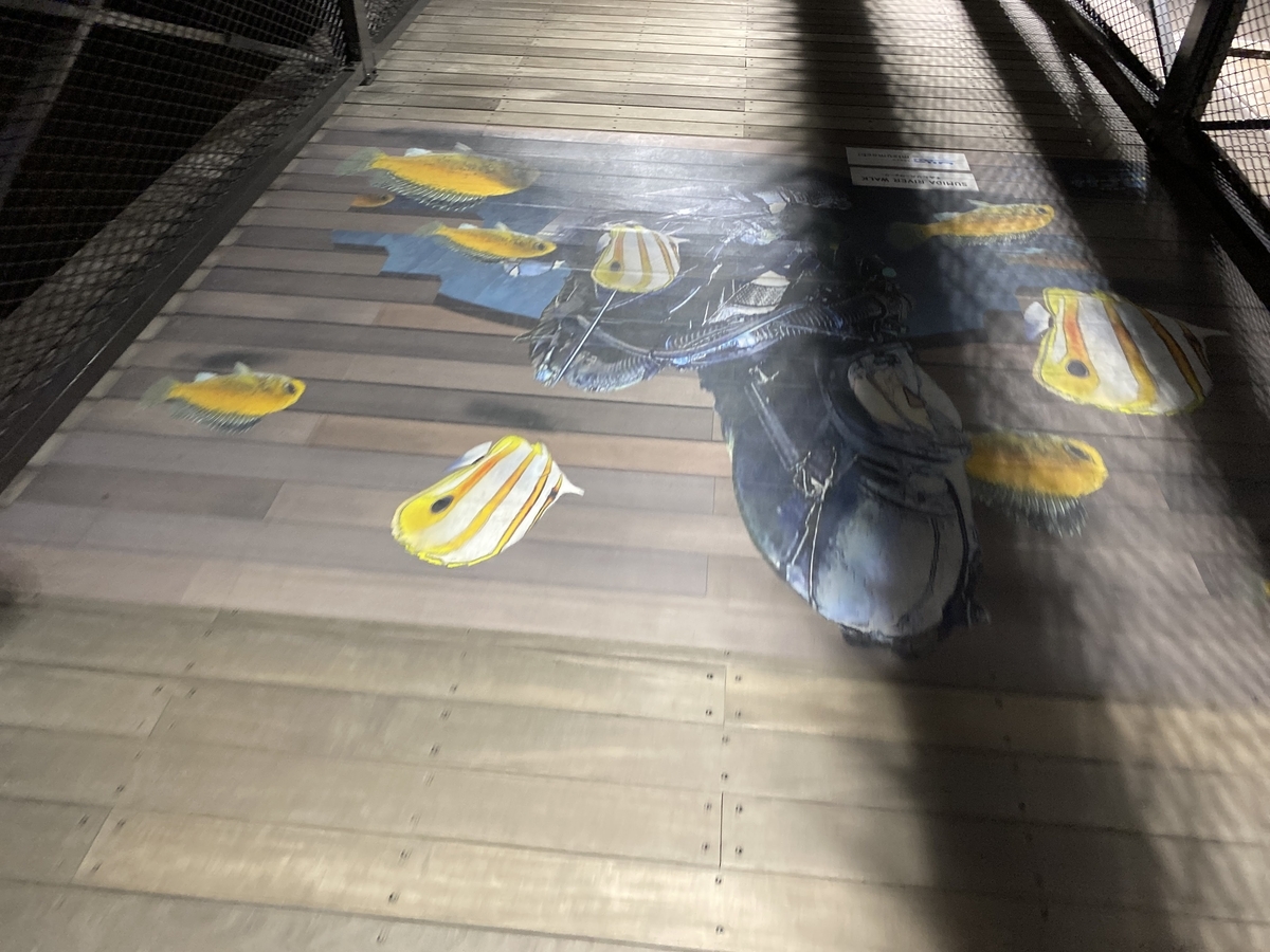 f:id:budoutorinngo:20220416093840j:plain