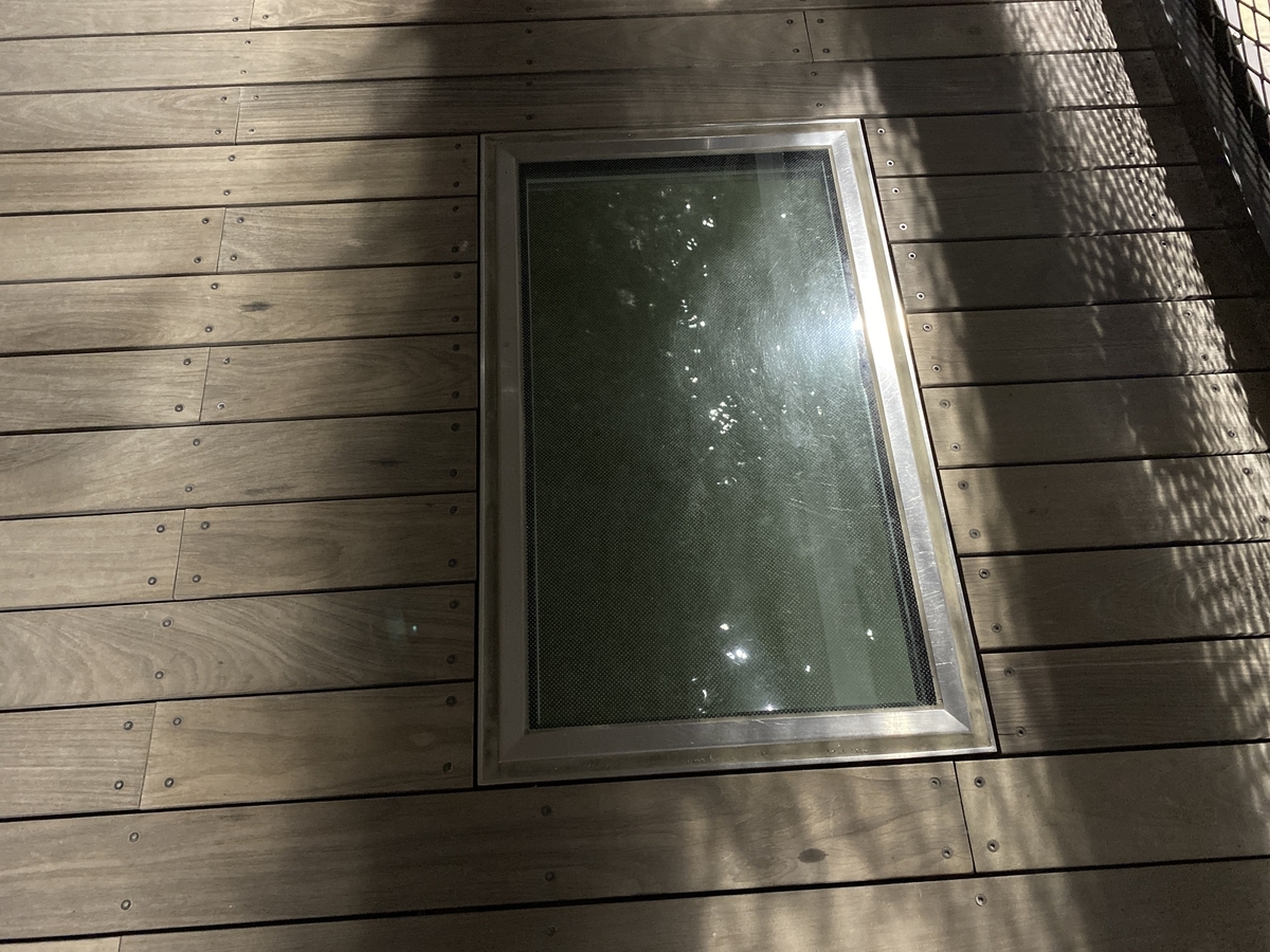 f:id:budoutorinngo:20220416094058j:plain