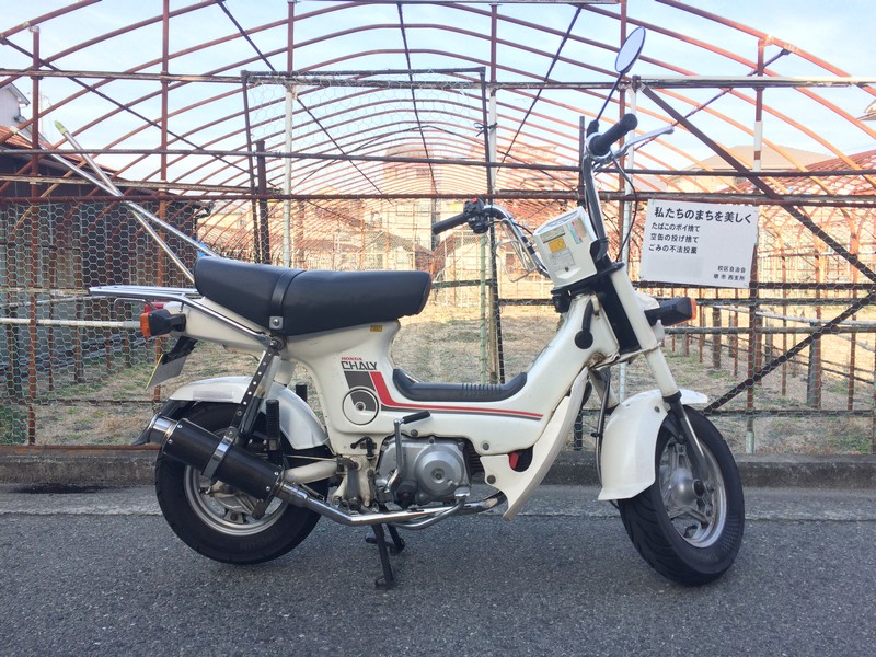 イメージ 17