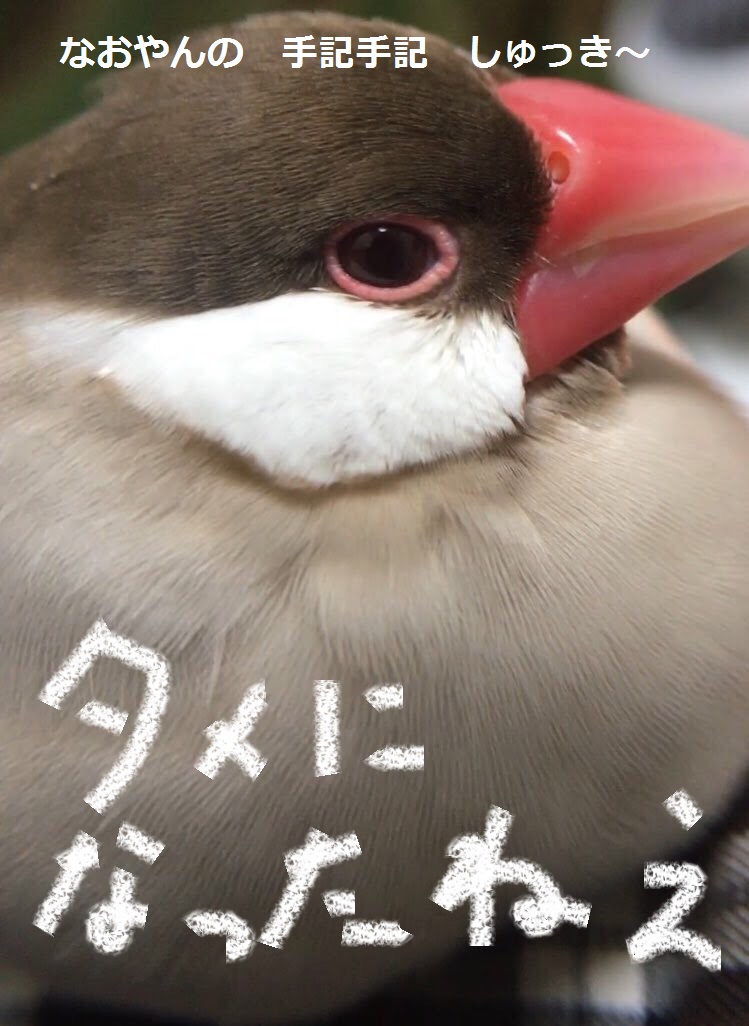 ブログタイトル
