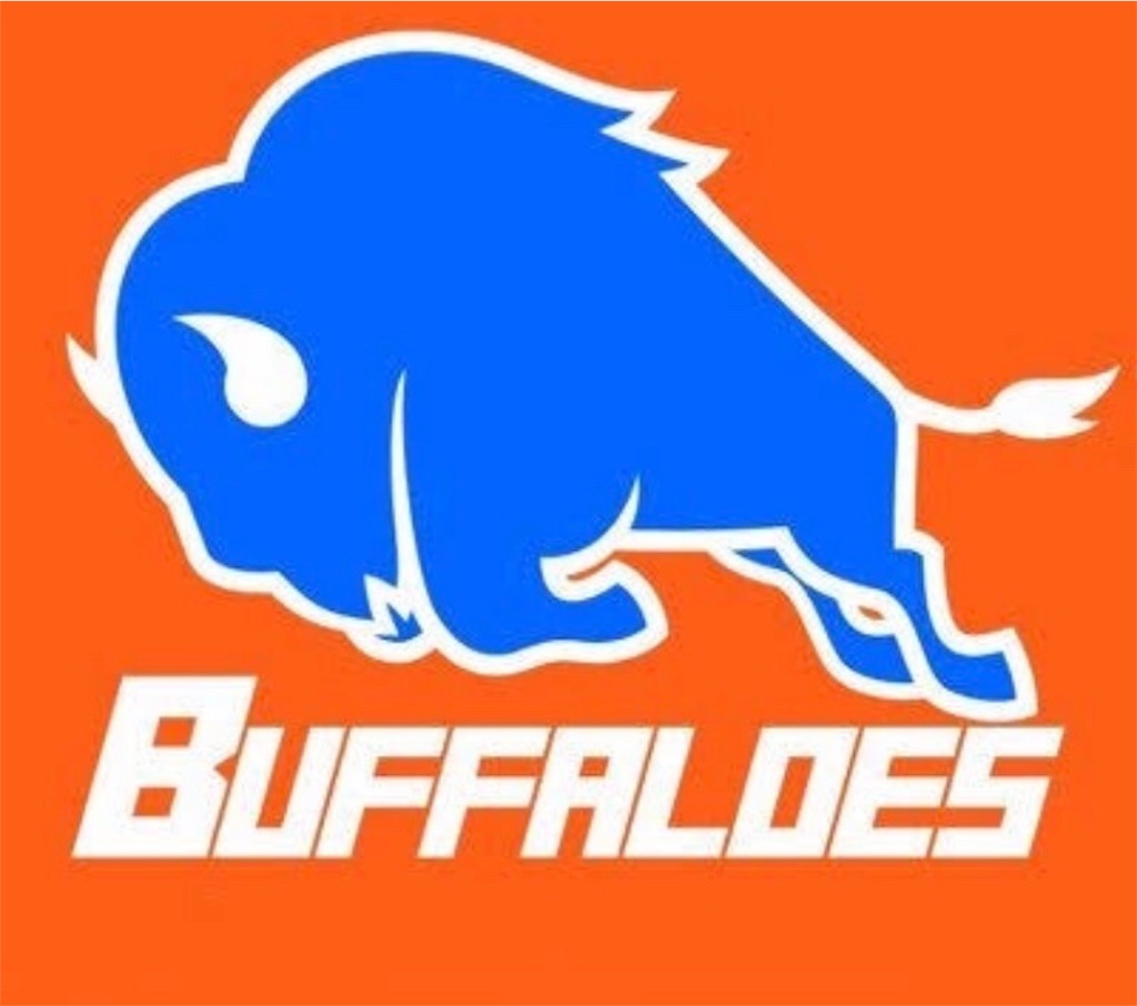 f:id:buffaloesblog:20190215075826j:image