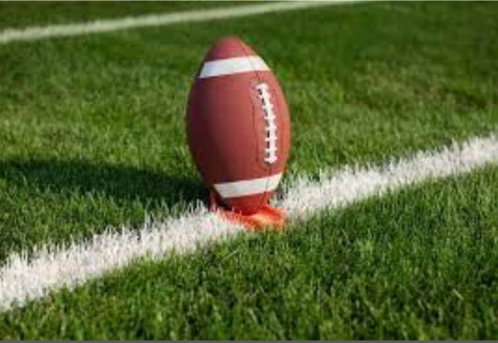 f:id:buffaloesblog:20190215080259j:image