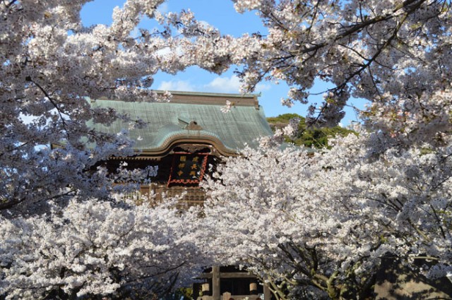 f:id:buffaloesblog:20190325214530j:image