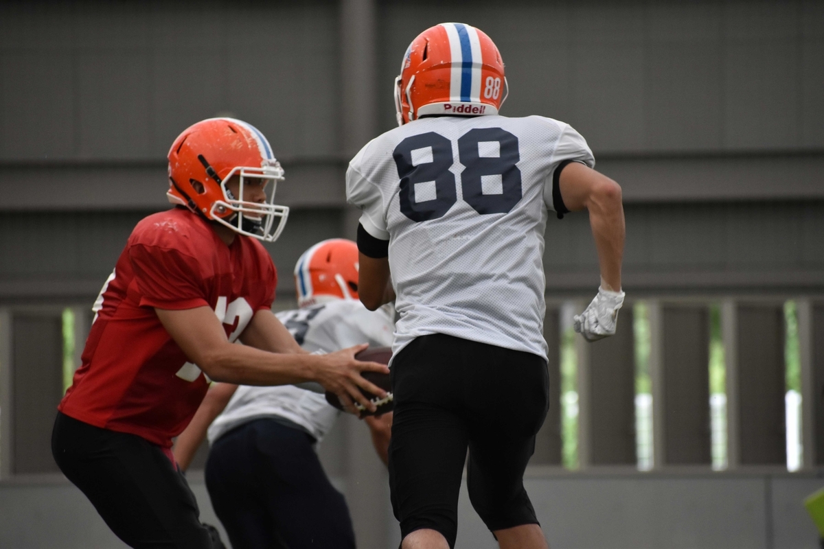 f:id:buffaloesblog:20190813013007j:plain