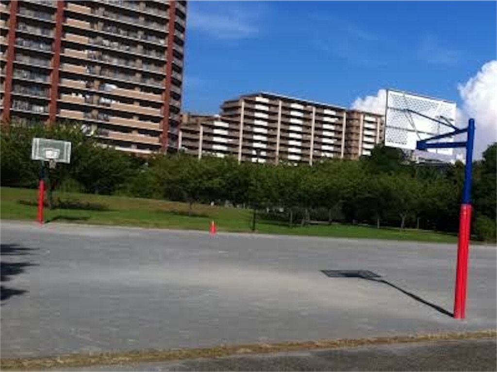 f:id:buffaloesblog:20200512193059j:image