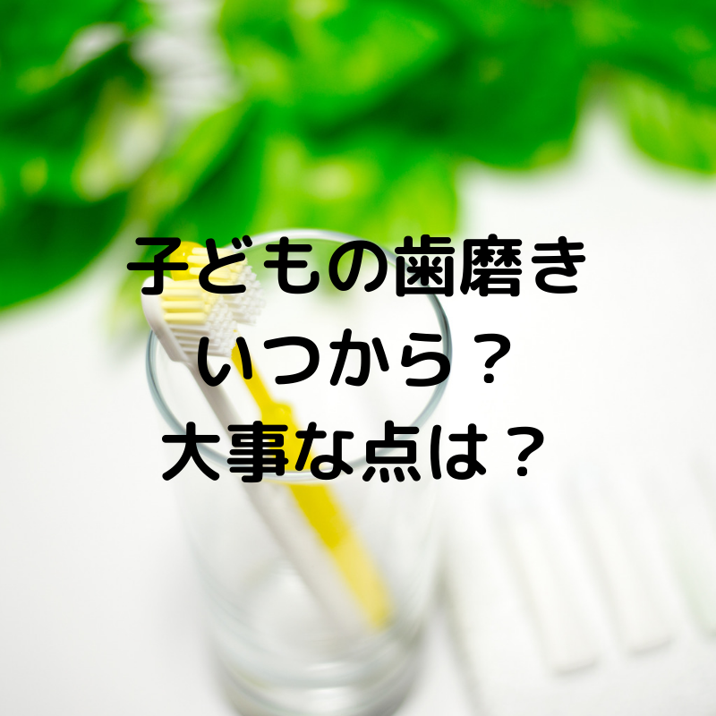50 子供 電動歯ブラシ いつから かわいい子供たちの画像