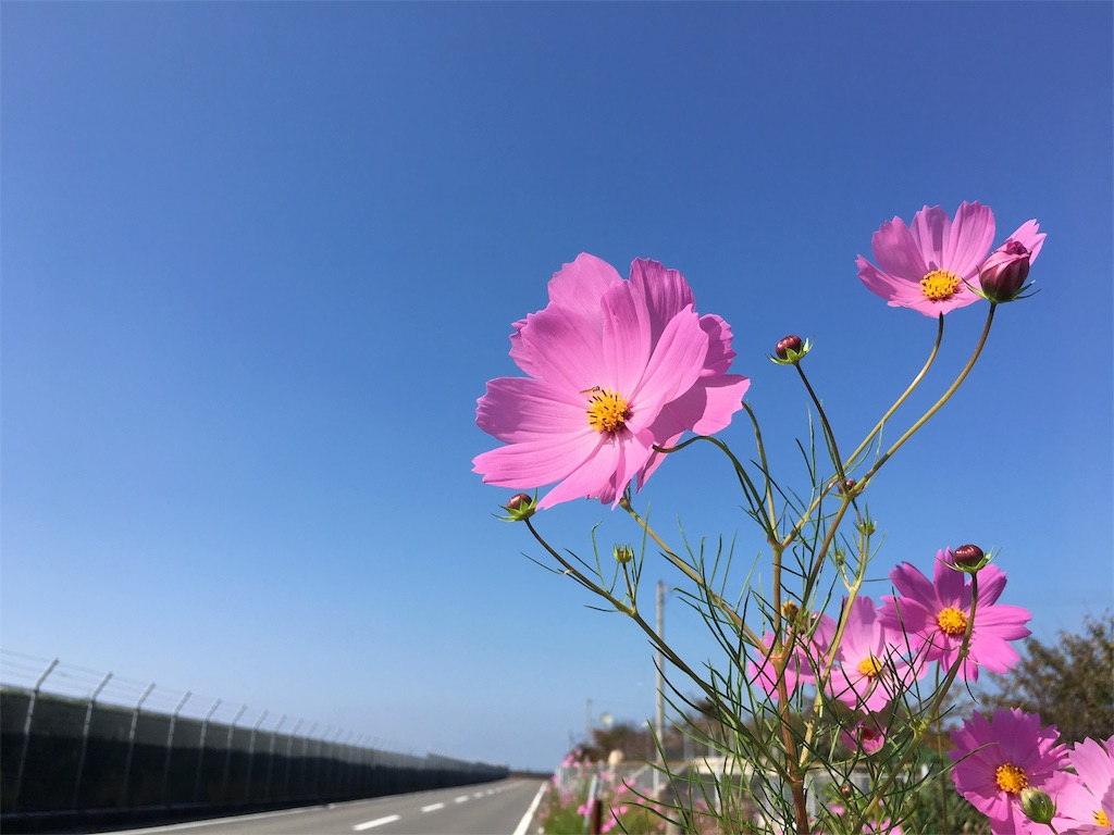 f:id:buffenya:20181024143052j:image
