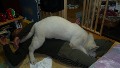 f:id:buhi84shin:20090425193351j:image