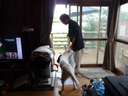 f:id:buhi84shin:20090613132122j:image