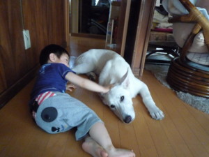 f:id:buhi84shin:20090625125347j:image