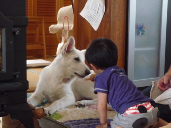 f:id:buhi84shin:20090625130505j:image