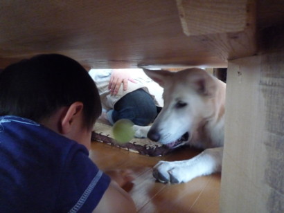 f:id:buhi84shin:20090625132446j:image
