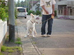 20090702173933