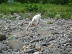 f:id:buhi84shin:20090705112053j:image:right