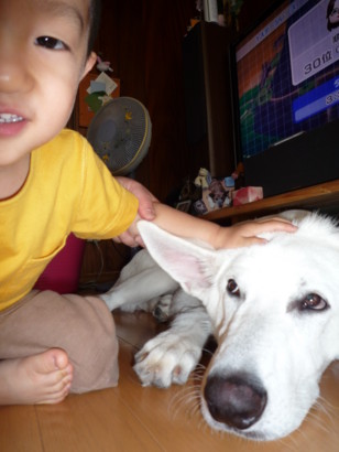 f:id:buhi84shin:20090714111222j:image