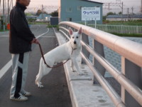 f:id:buhi84shin:20090902052451j:image:right