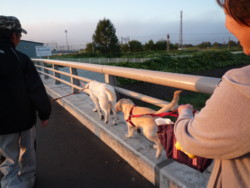 f:id:buhi84shin:20090902052925j:image:left