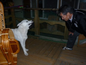 f:id:buhi84shin:20090903213321j:image:right