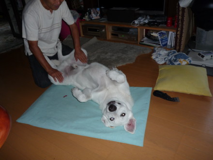 f:id:buhi84shin:20090905062735j:image