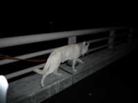 f:id:buhi84shin:20090906224649j:image:right