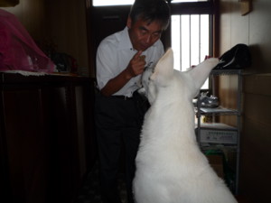 f:id:buhi84shin:20090907080139j:image:left