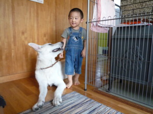 f:id:buhi84shin:20090908125444j:image:right f:id:buhi84shin:20090908125444j:image:right