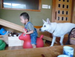 f:id:buhi84shin:20090908125540j:image:left f:id:buhi84shin:20090908125540j:image:left