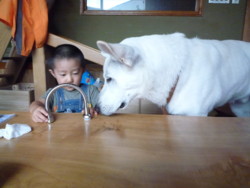 f:id:buhi84shin:20090908130022j:image:right f:id:buhi84shin:20090908130022j:image:right