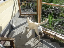 f:id:buhi84shin:20090909080610j:image:left f:id:buhi84shin:20090909080610j:image:left