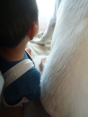 f:id:buhi84shin:20090911103839j:image:left