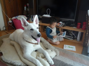f:id:buhi84shin:20090911103919j:image:right