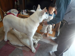 f:id:buhi84shin:20090911103954j:image:left