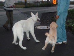 f:id:buhi84shin:20090916053112j:image:left f:id:buhi84shin:20090916053112j:image:left