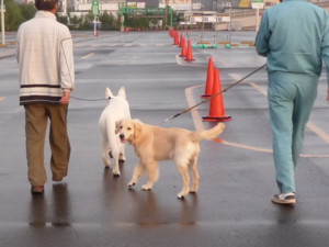f:id:buhi84shin:20090916055116j:image:right f:id:buhi84shin:20090916055116j:image:right