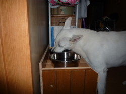 f:id:buhi84shin:20090916181758j:image:left f:id:buhi84shin:20090916181758j:image:left