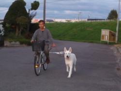 f:id:buhi84shin:20090917175952j:image:left