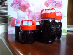 f:id:buhi84shin:20090918205758j:image:right