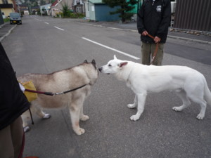 f:id:buhi84shin:20090919061923j:image:right
