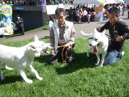 f:id:buhi84shin:20090920104417j:image