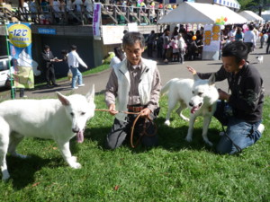 f:id:buhi84shin:20090920104420j:image:right