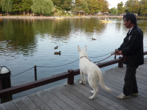 f:id:buhi84shin:20090921154932j:image:left f:id:buhi84shin:20090921154932j:image:left